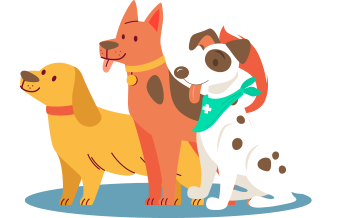 ¿Cómo se llama tu perro?